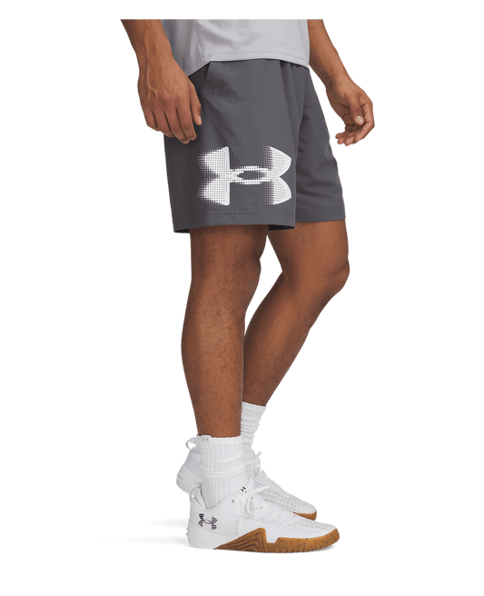 Under Armour Apparel Men's UA Tech™ Woven Graphic Shorts