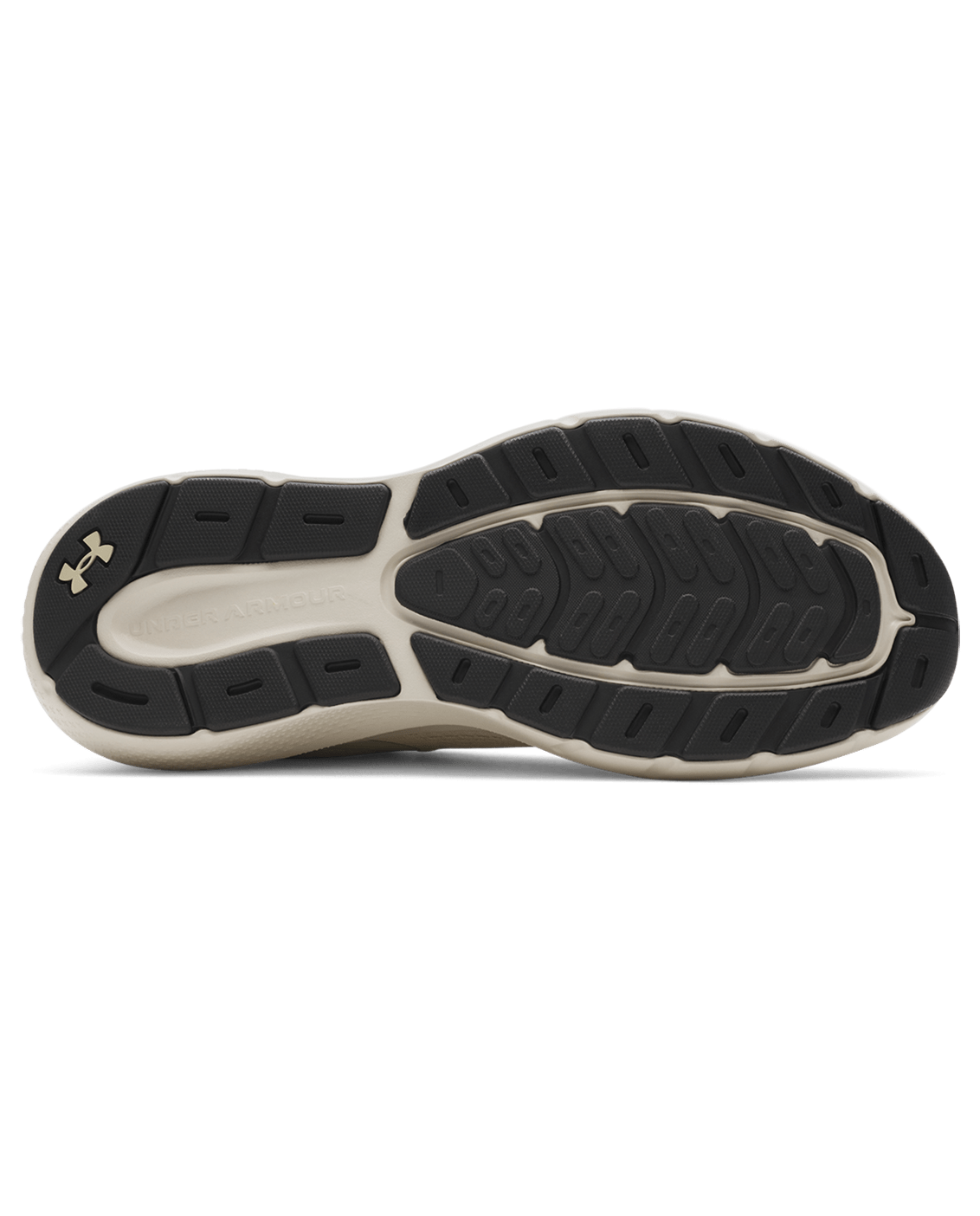 Under Armour Footwear Men's UA Rogue 5 Running Shoes