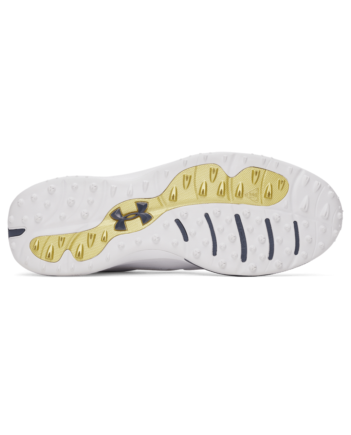 Under Armour Footwear UA Drive Pro Spikeless Men's Golf Shoes