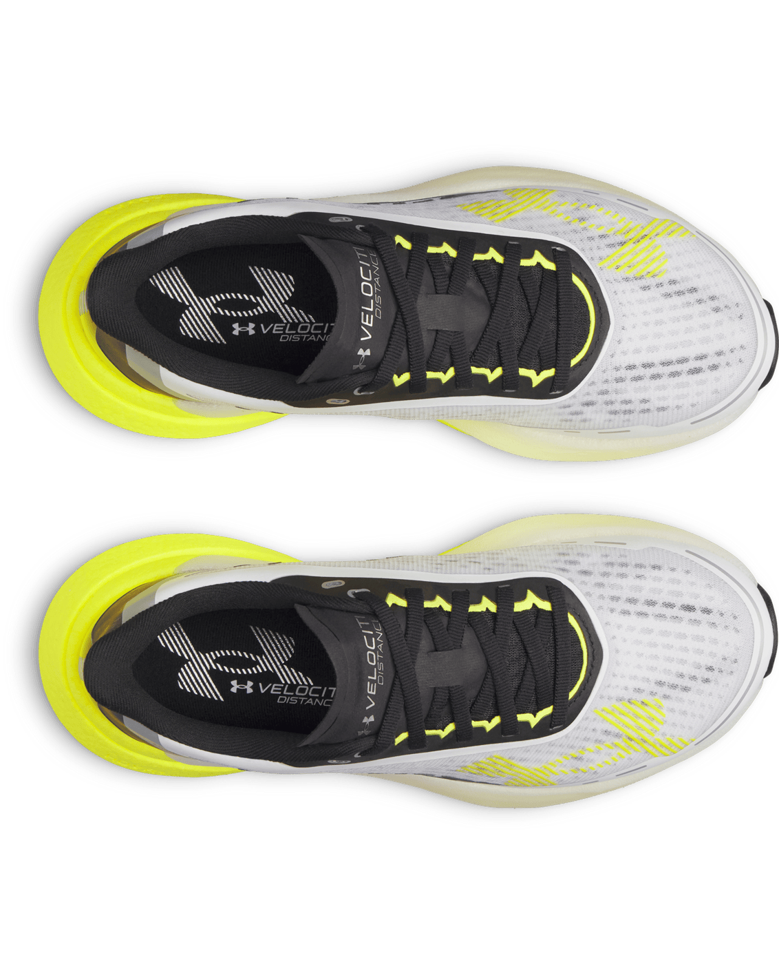 Under Armour Footwear UA Velociti Distance Women's Running Shoes