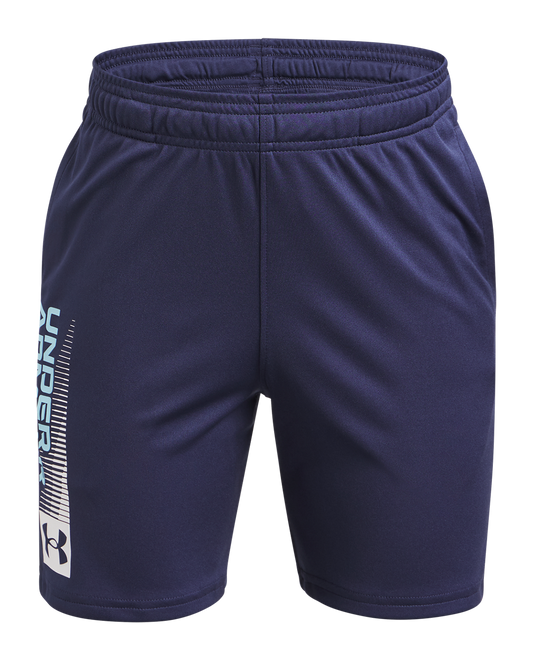 Boys' UA Tech™ Wordmark Shorts