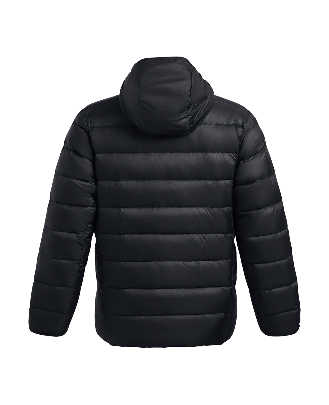 Under Armour Men's UA Legend Down Hooded Jacket