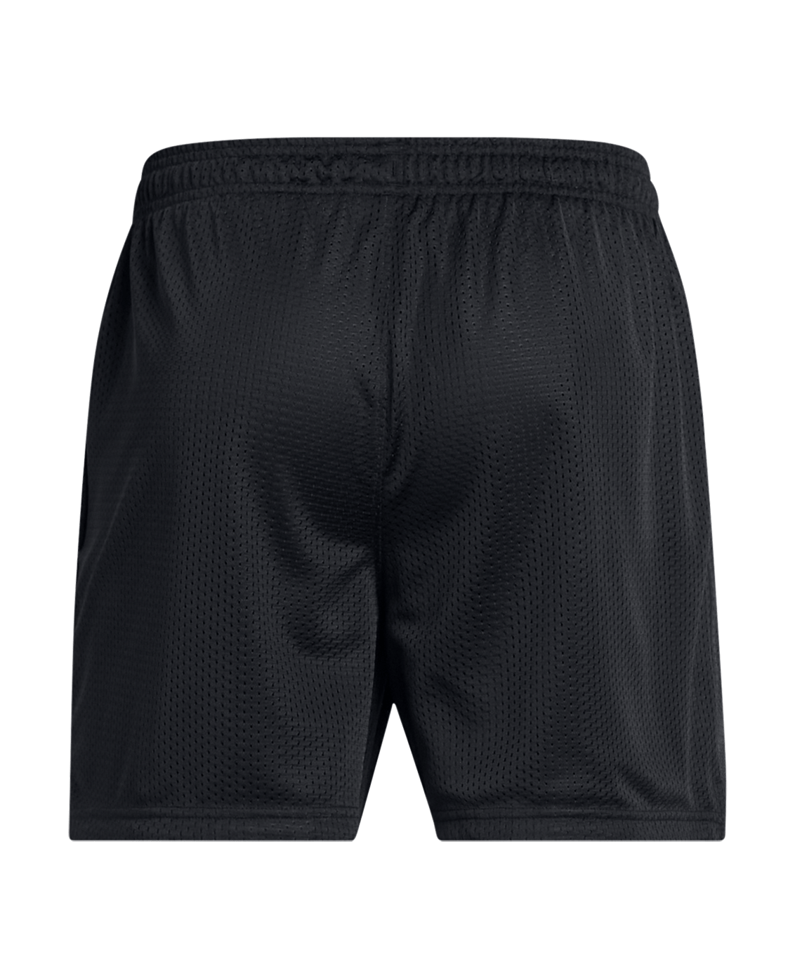 Under Armour Apparel Men's UA Icon Mesh Armour U Shorts