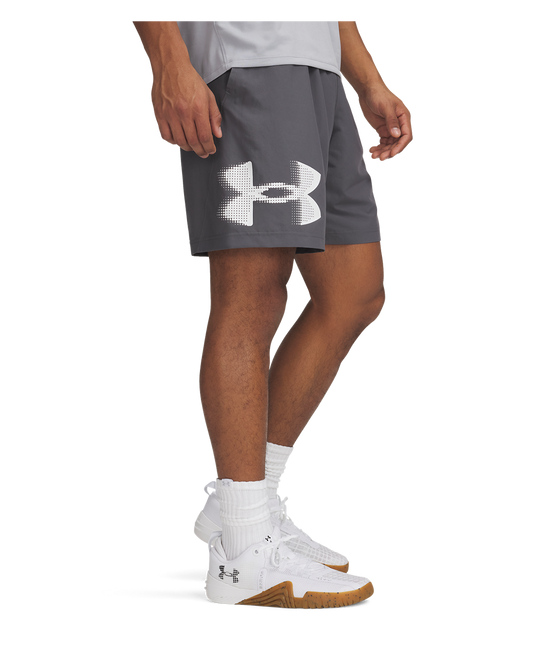 Men's UA Tech™ Woven Graphic Shorts