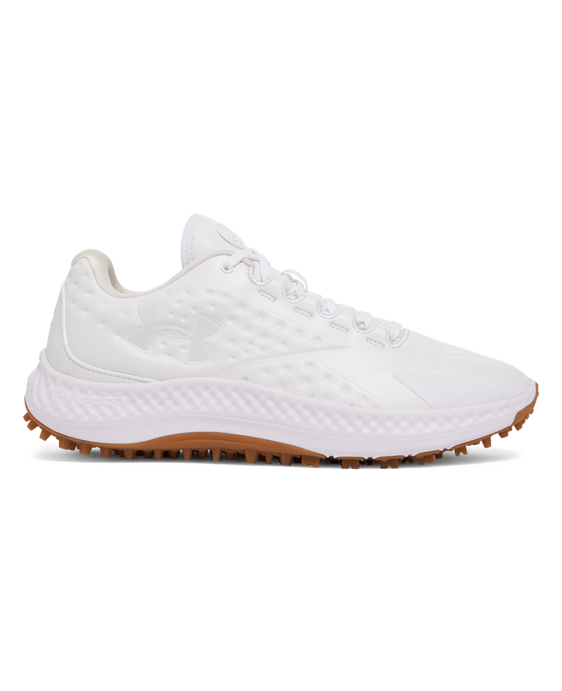 Men's Curry 1 Golf Shoes