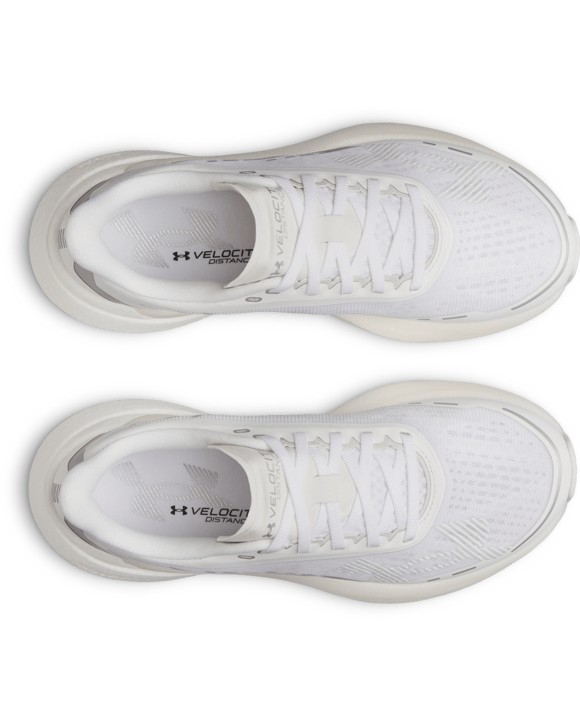 Under Armour Footwear UA Velociti Distance Women's Running Shoes