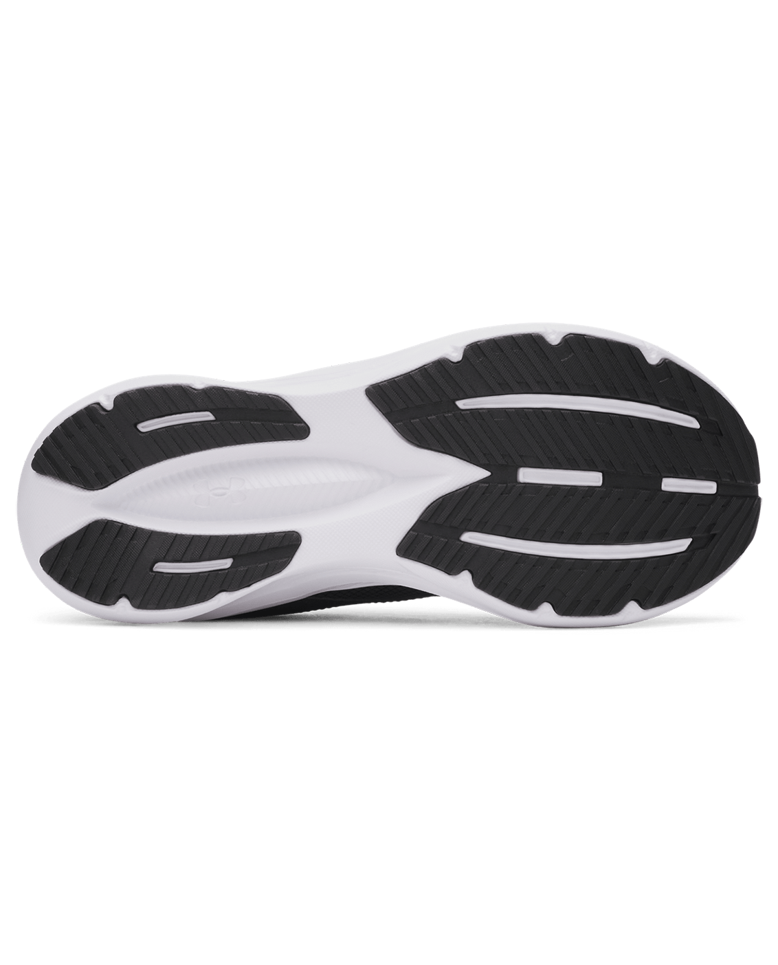 Under Armour UA Charged+ Assert 11 Women's Running Shoes