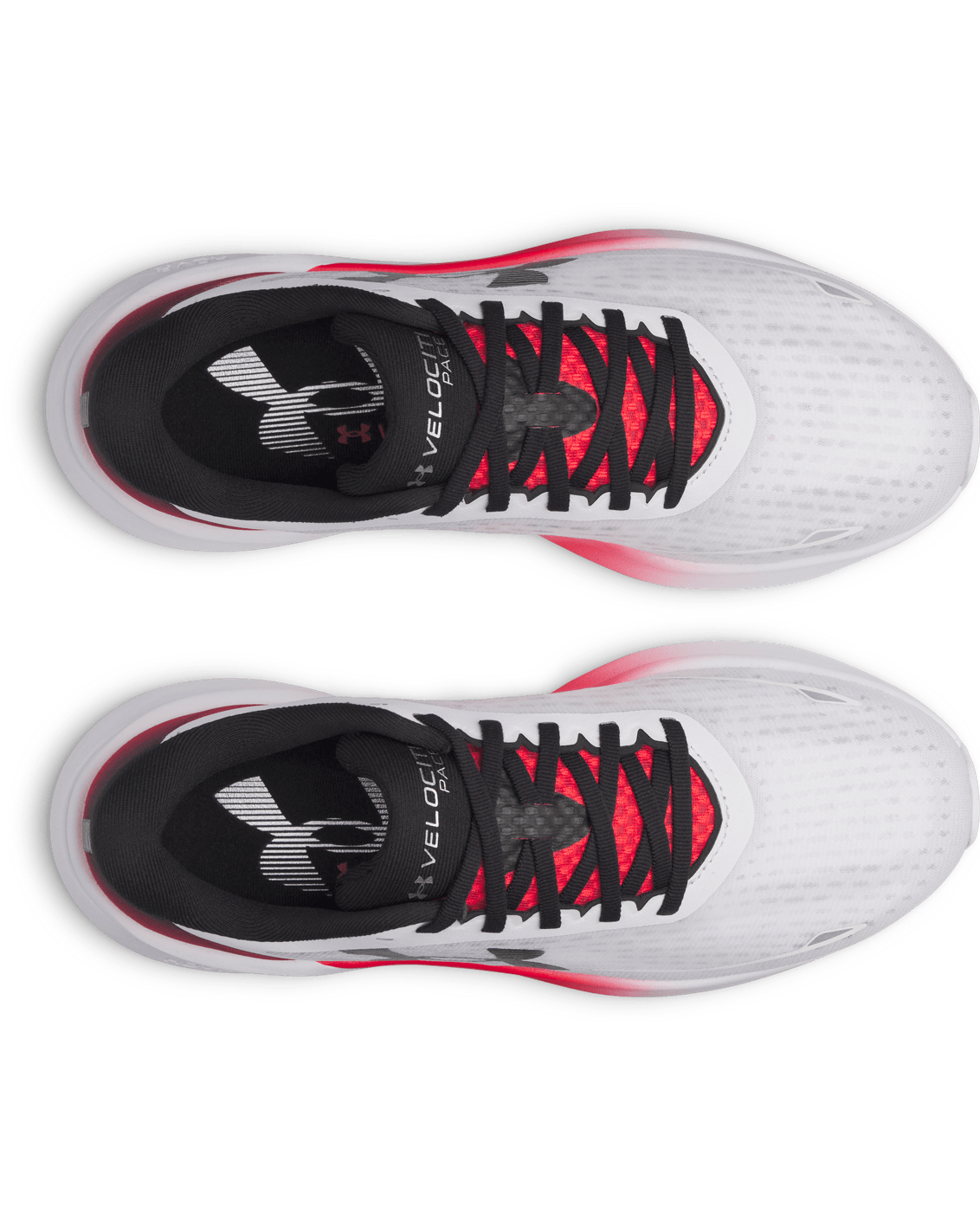 Under Armour Footwear UA Velociti Pace Men's Running Shoes