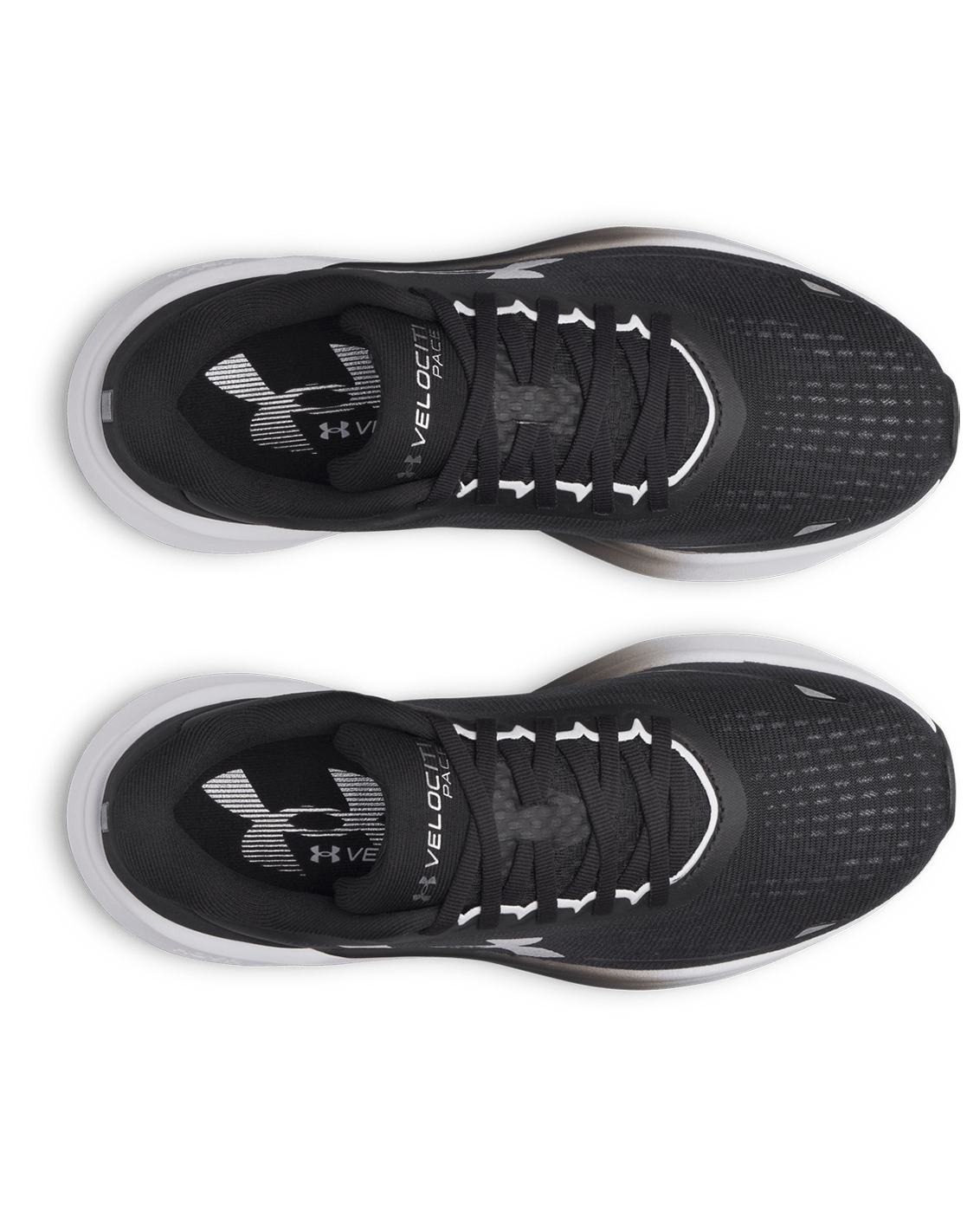 Under Armour Footwear UA Velociti Pace Women's Running Shoes
