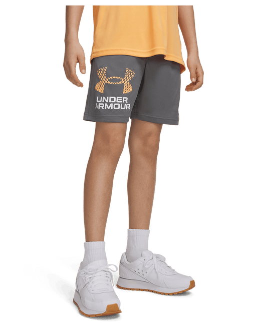 Under Armour Apparel UA Tech™ Logo Boys' Shorts