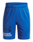 UA Tech™ Boys' Logo Shorts